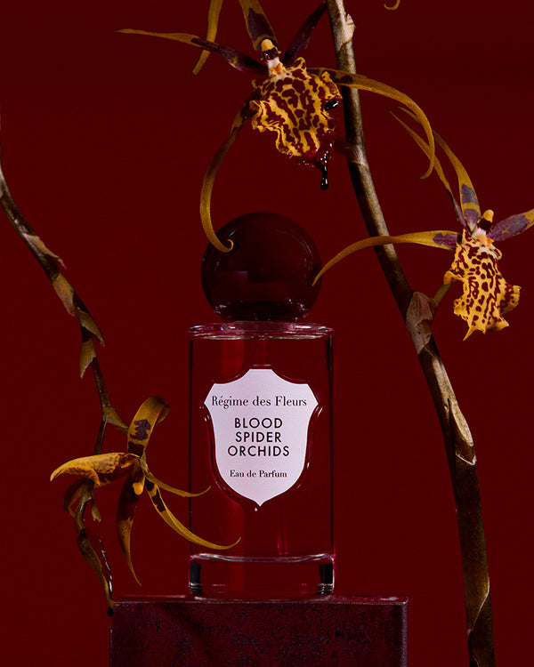 Blood Spider Orchids