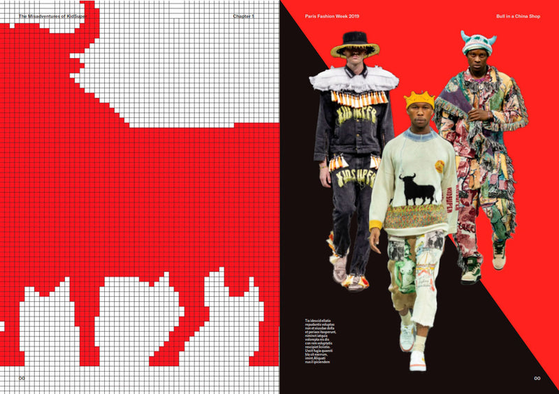 The Misadventures Of KidSuper