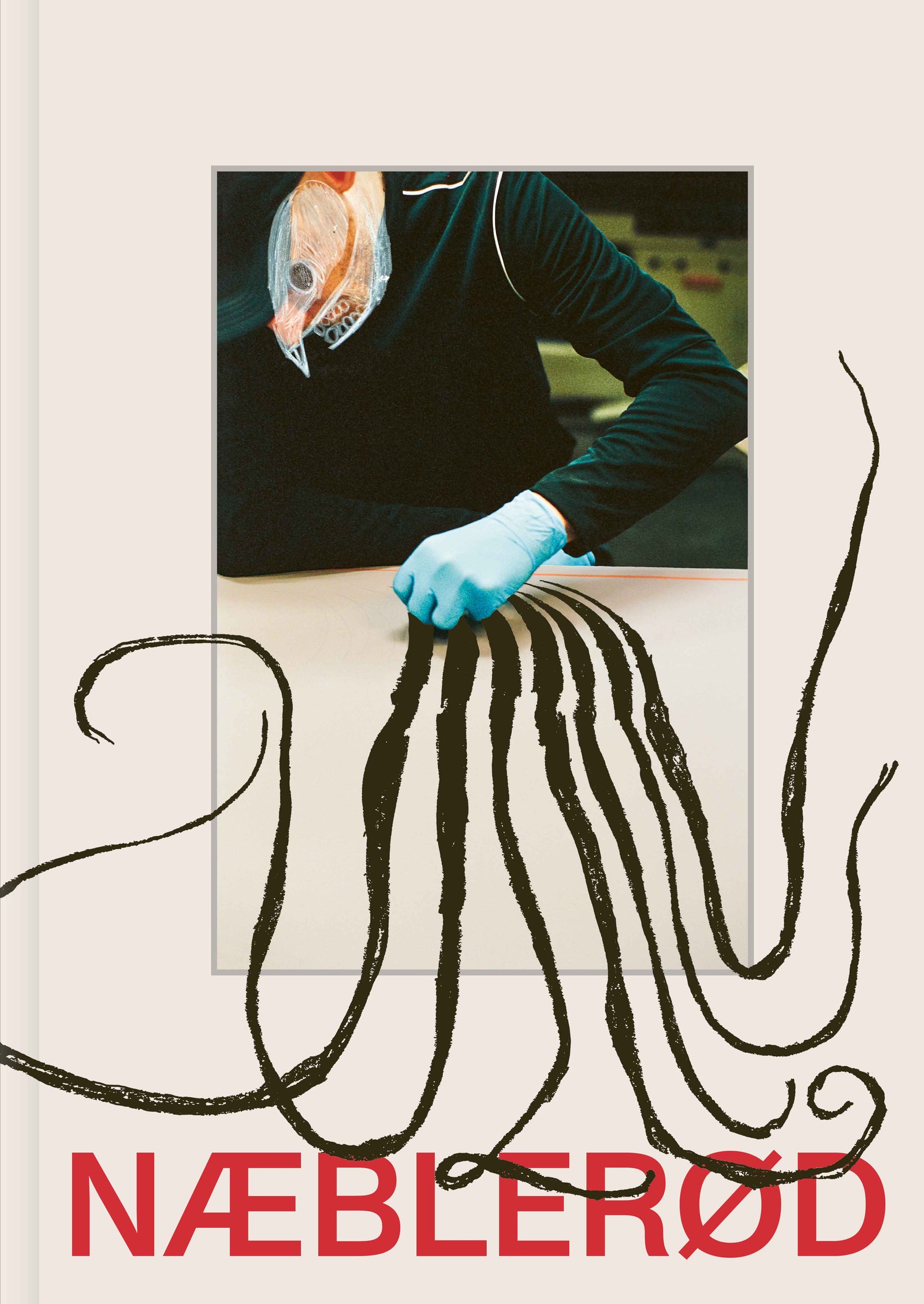 Frederik Næblerød Næblerød bog – Page –