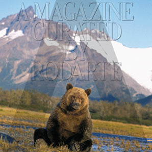 a-magazine-by-rodarte