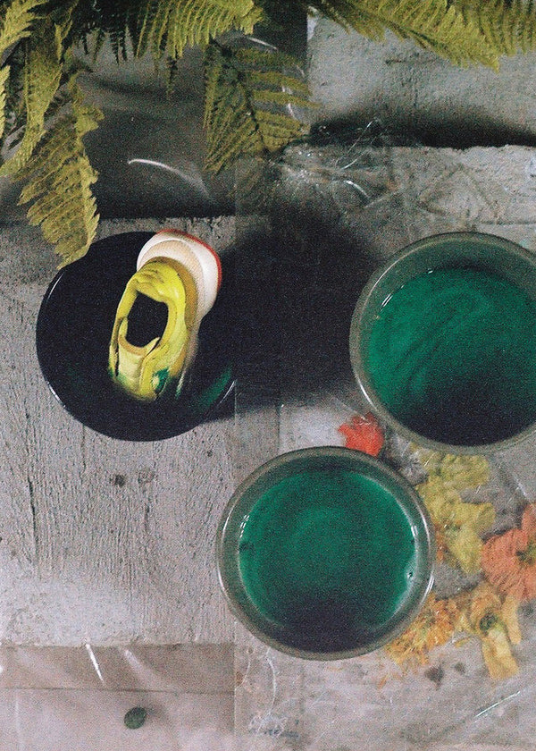 alteration-pn-1-puma