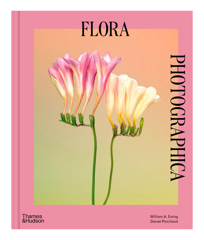 Photographica　Flora　–　Page　–