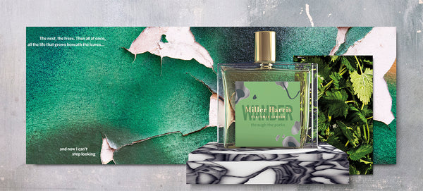 forage-with-miller-harris