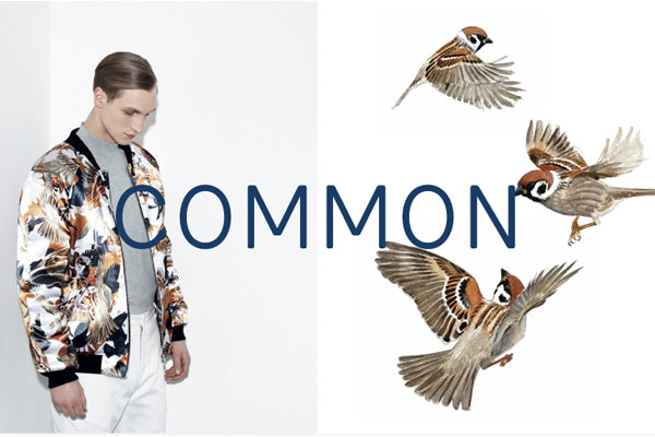common-now-available